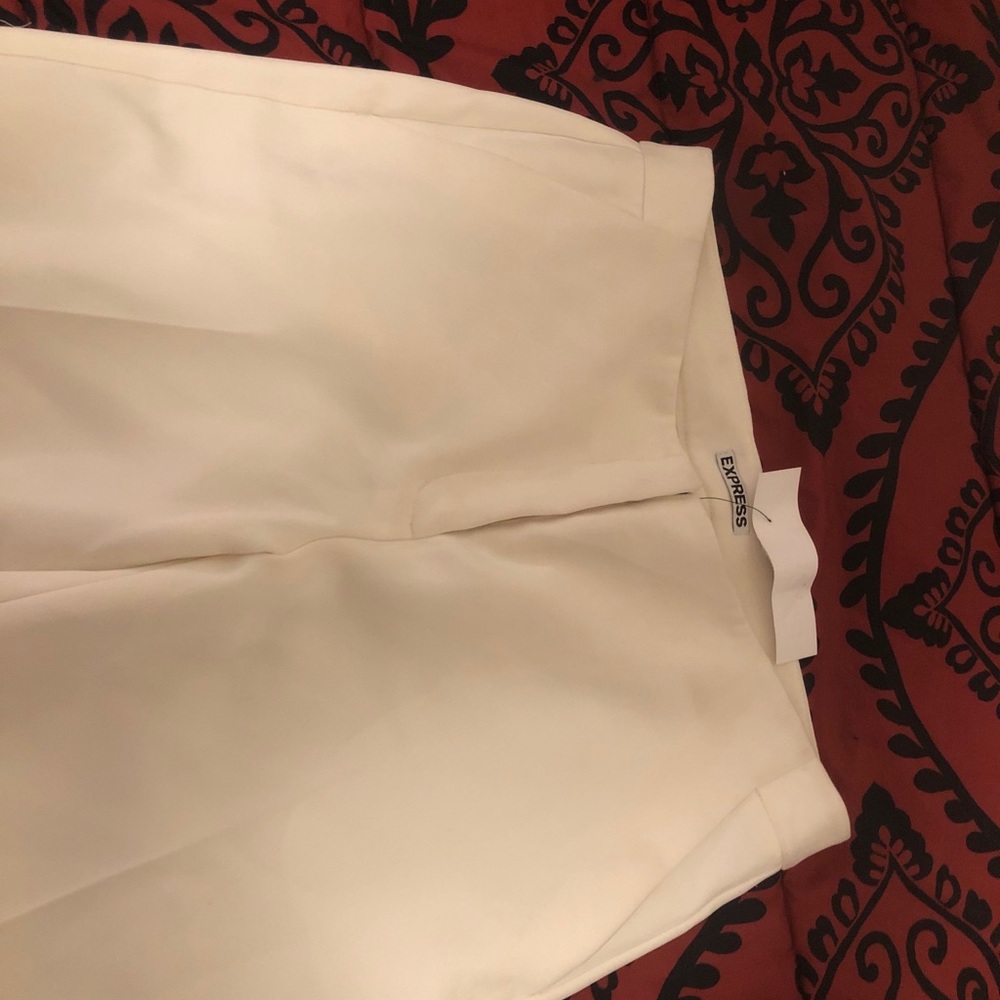 Express Dress Pants